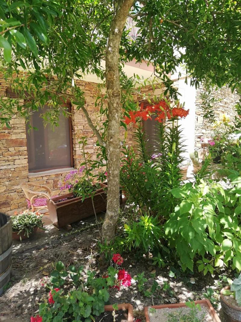 L Agrifoglio image
