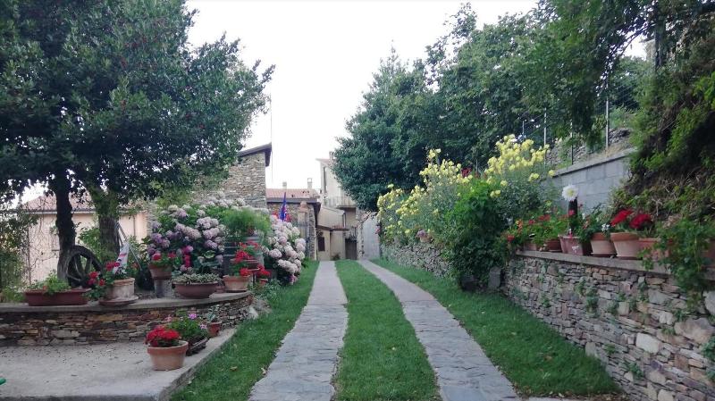 L Agrifoglio image