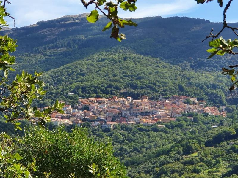 L Agrifoglio image