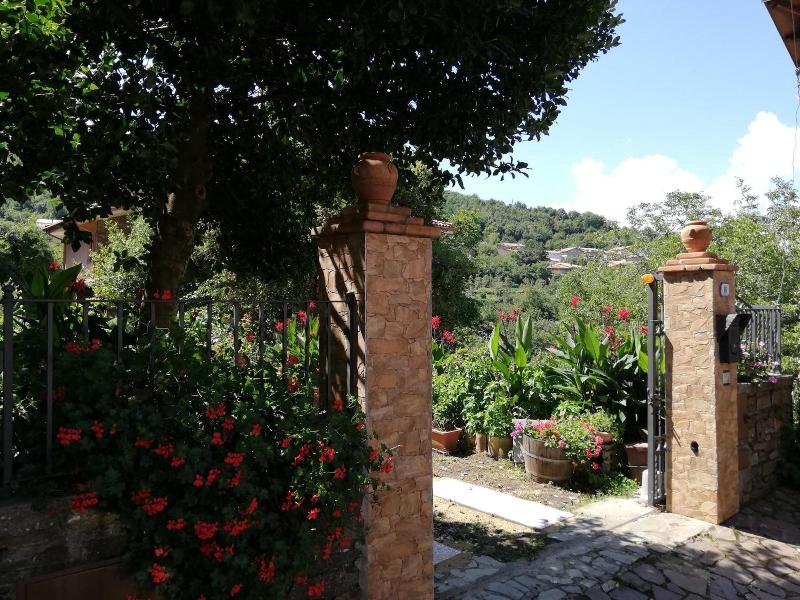L Agrifoglio image