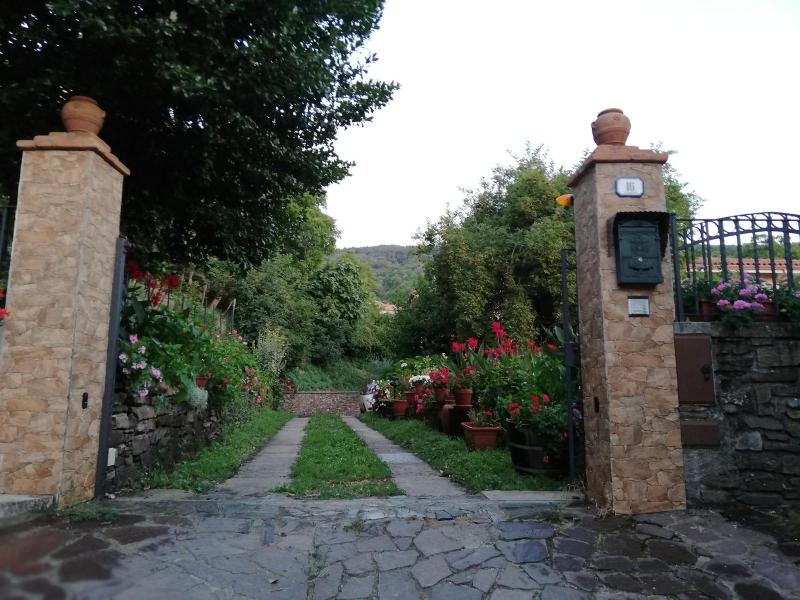 L Agrifoglio image