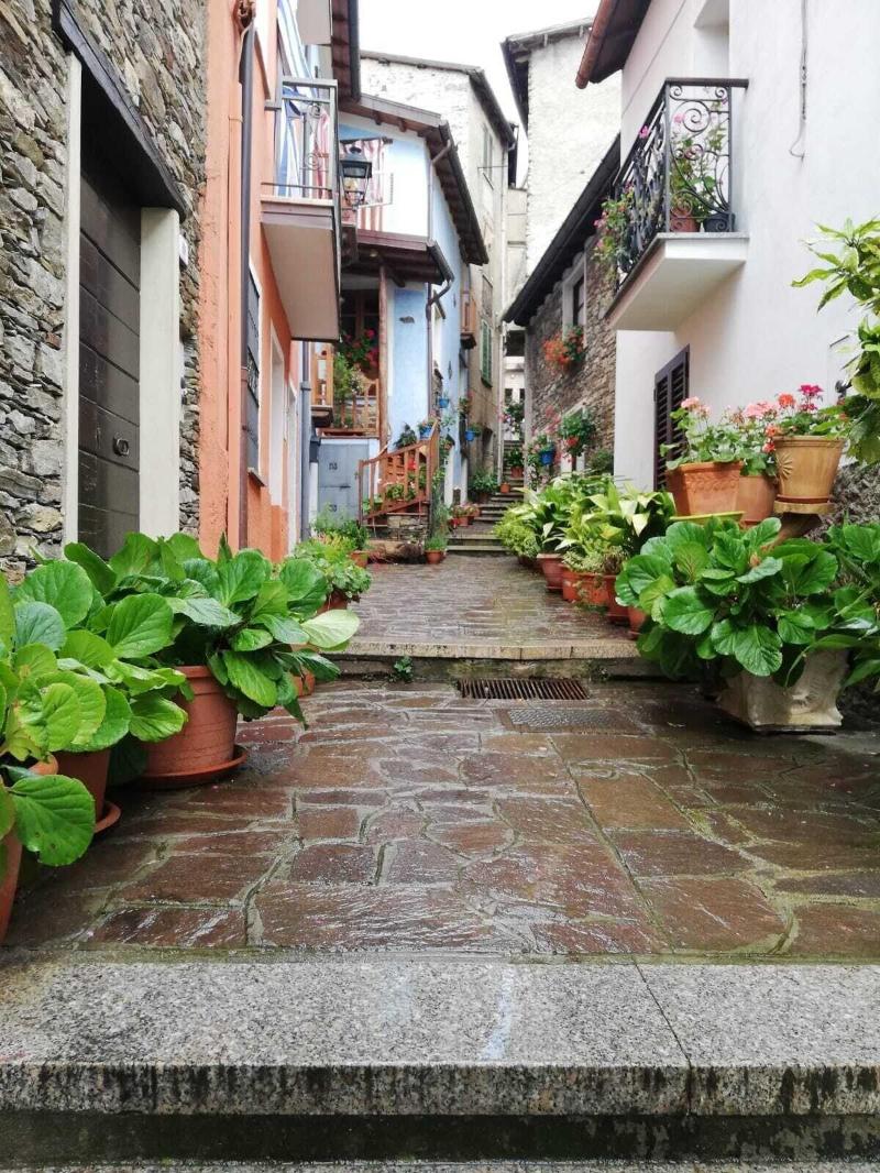 L Agrifoglio image