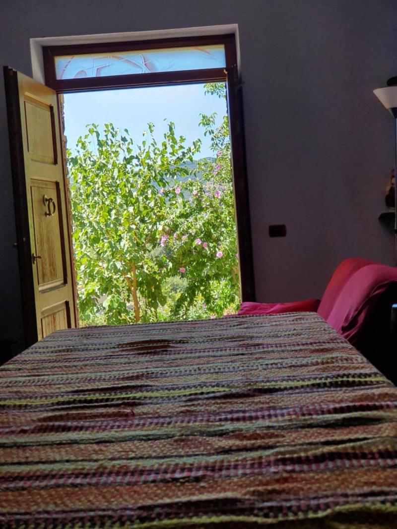 L Agrifoglio image