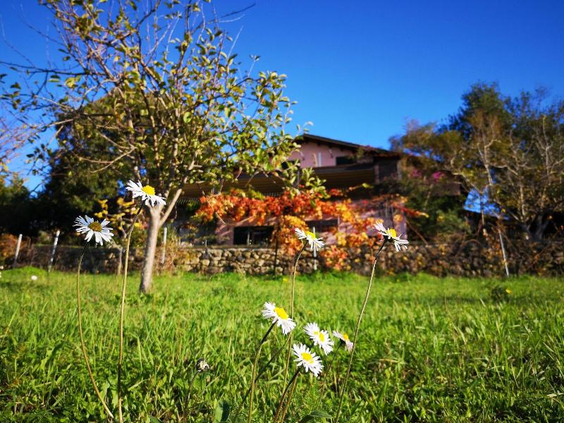 La Tinaia Country House