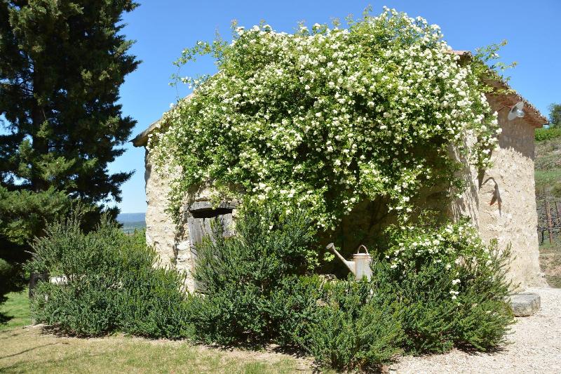 La Couleur Des Vignes — main photo