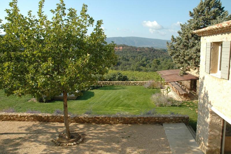 La Couleur Des Vignes — photo 2