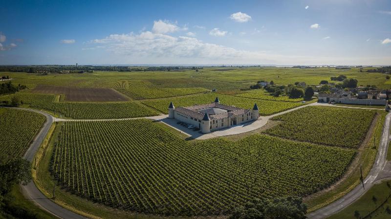 Cha Teau Tour Saint Fort image