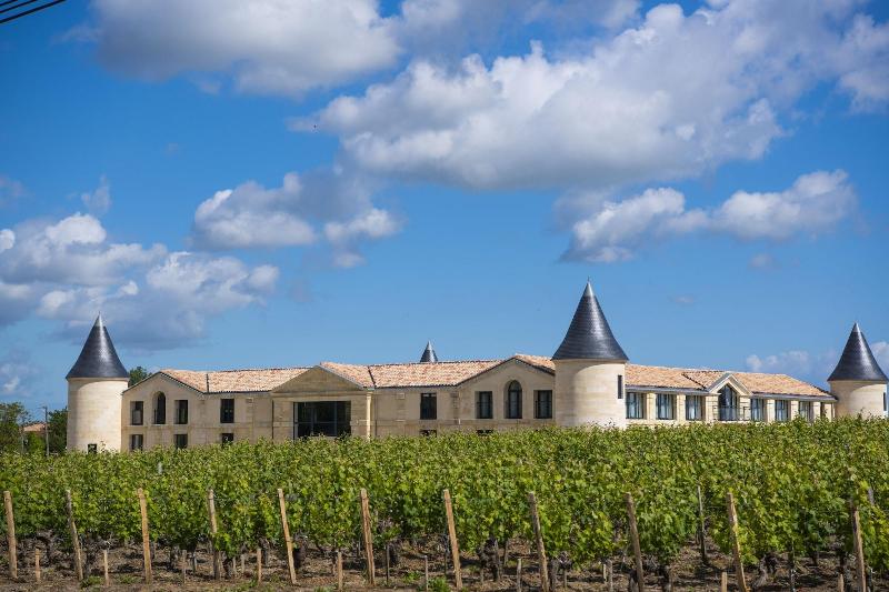 Cha Teau Tour Saint Fort image