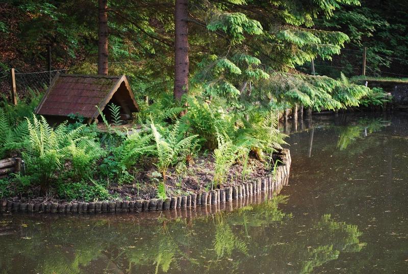 Ferienhaus Oppach image