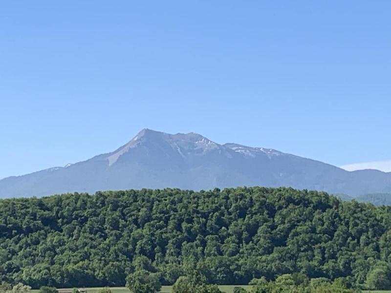Estancarbon