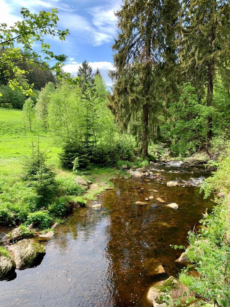 Pension Weiberwirtschaft image