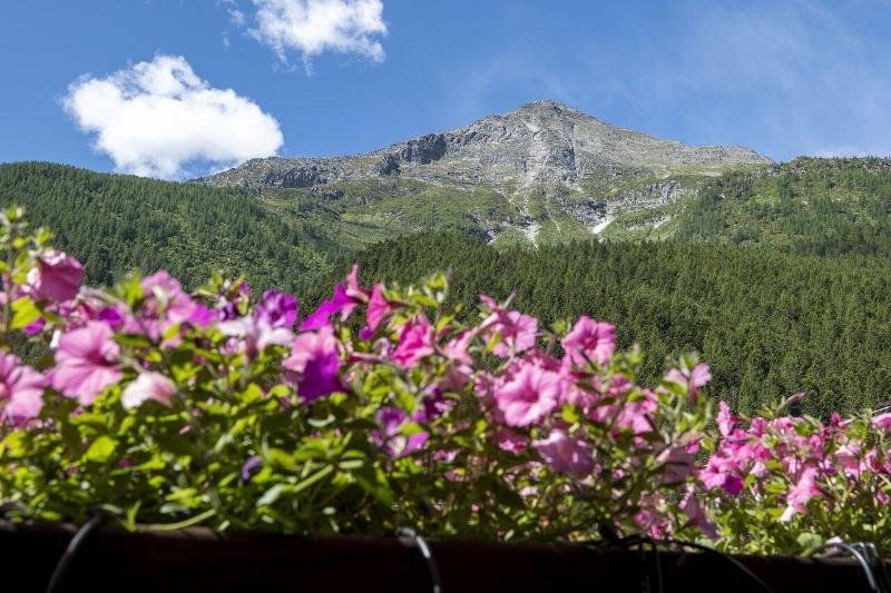 Incanto Walser Apartments Ronco image