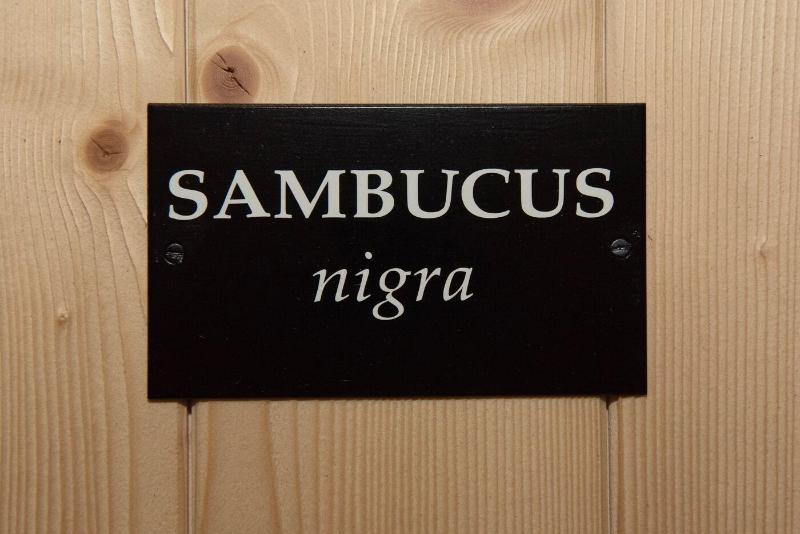 La Barboire Campagne Chambres image