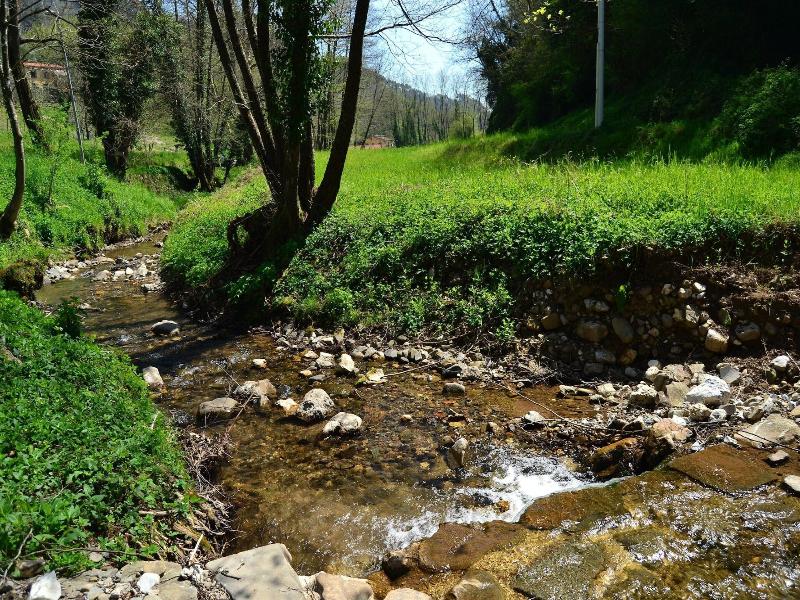 Dreamy Cottage In Trebbio With Swimming Pool image