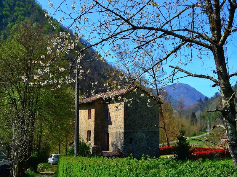 Dreamy Cottage In Trebbio With Swimming Pool image