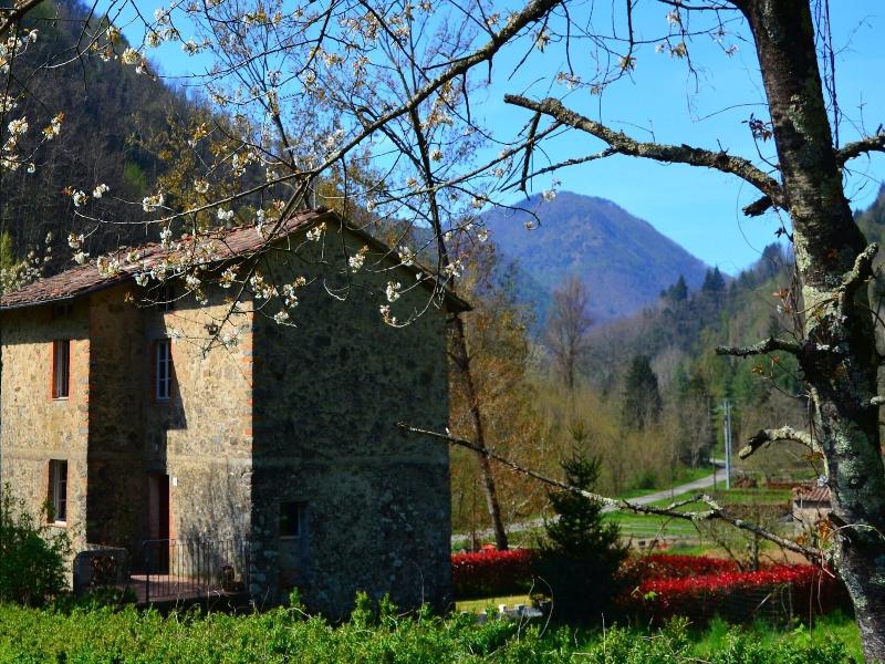 Dreamy Cottage In Trebbio With Swimming Pool image
