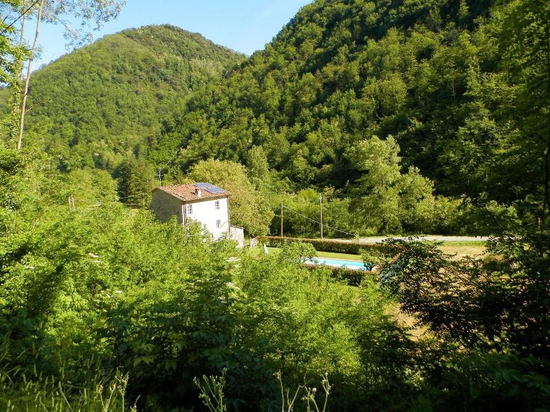 Dreamy Cottage In Trebbio With Swimming Pool image