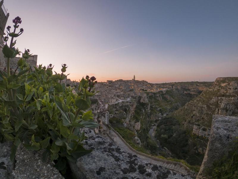 Antichi Orizzonti image
