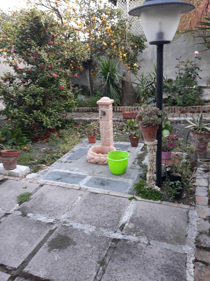Villa Teresa — photo 3