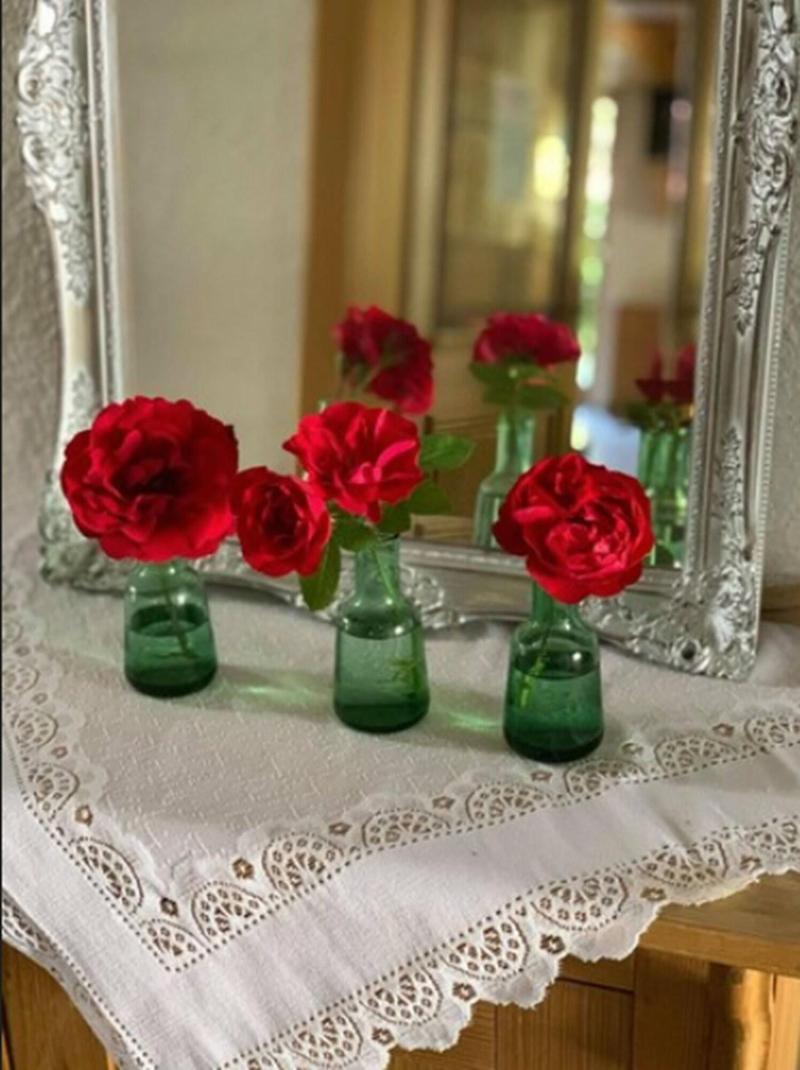 Hotel Zur Ulme image