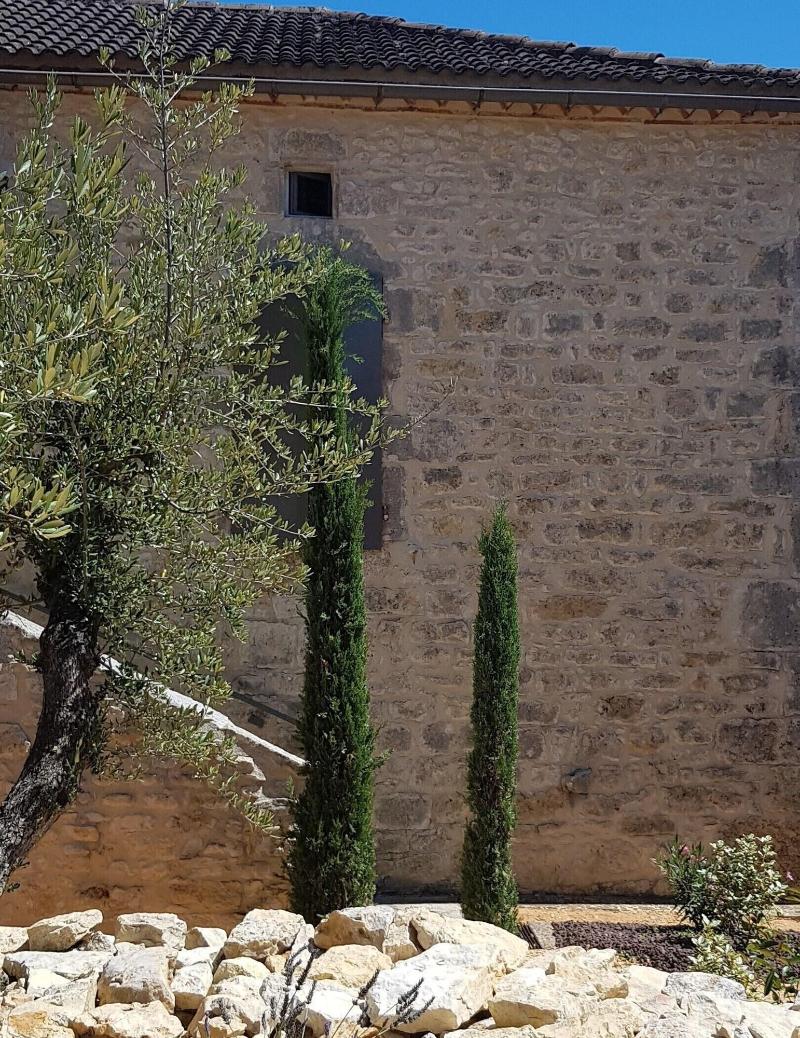 Maison Reces — main photo