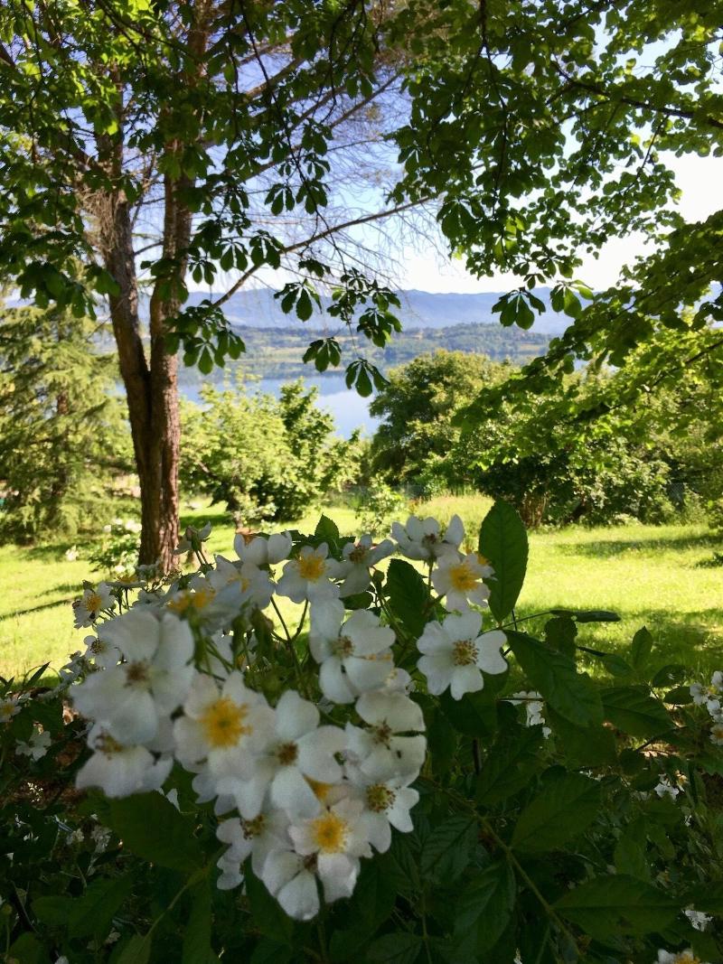 Villa Del Lago — main photo