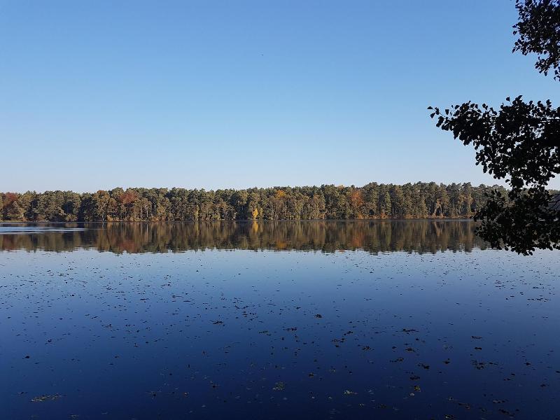 Ferienanlage Am Sidowsee image