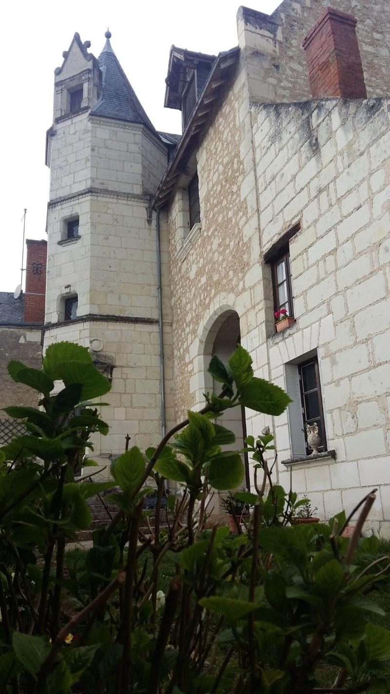 Manoir Des Roches 41 — photo 2