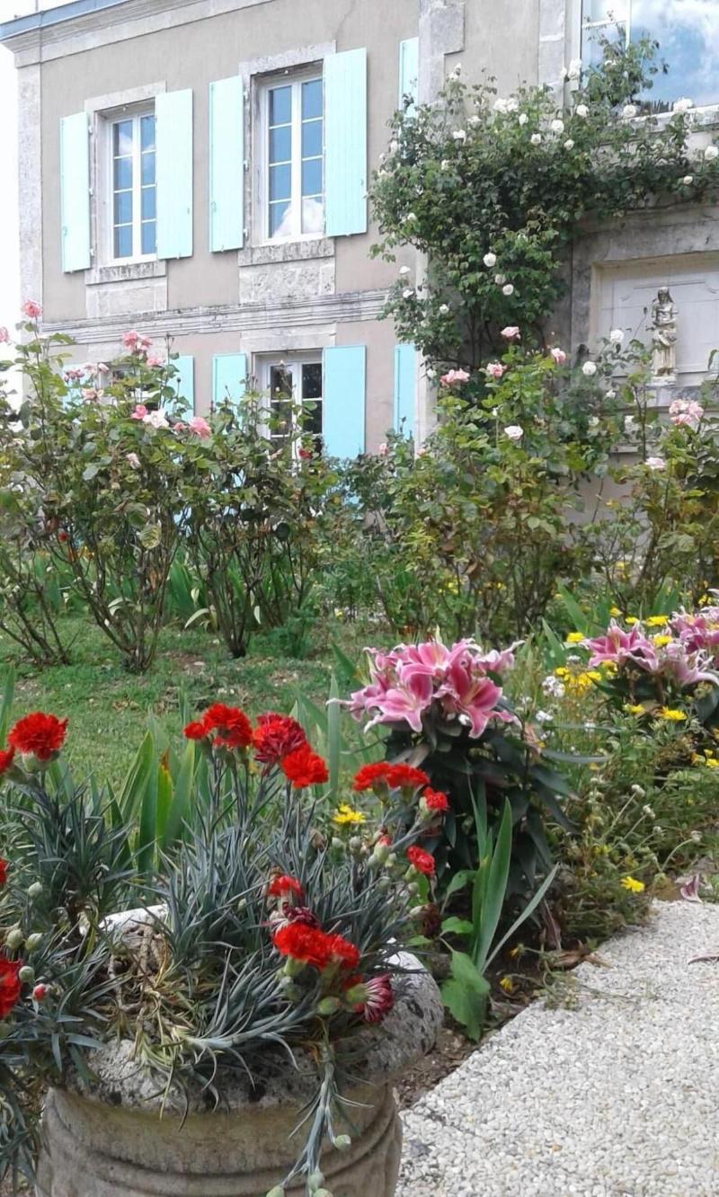 L Isle De Bourbon image