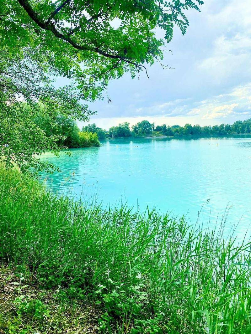 Entre Ried Et Rhin image