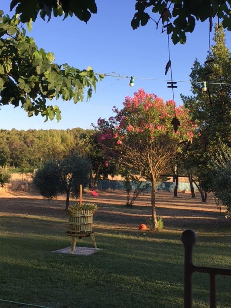 La Vignarelle image