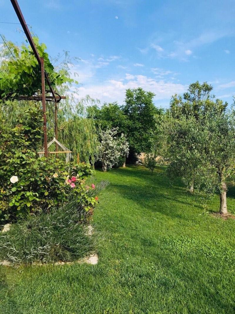 La Vignarelle image