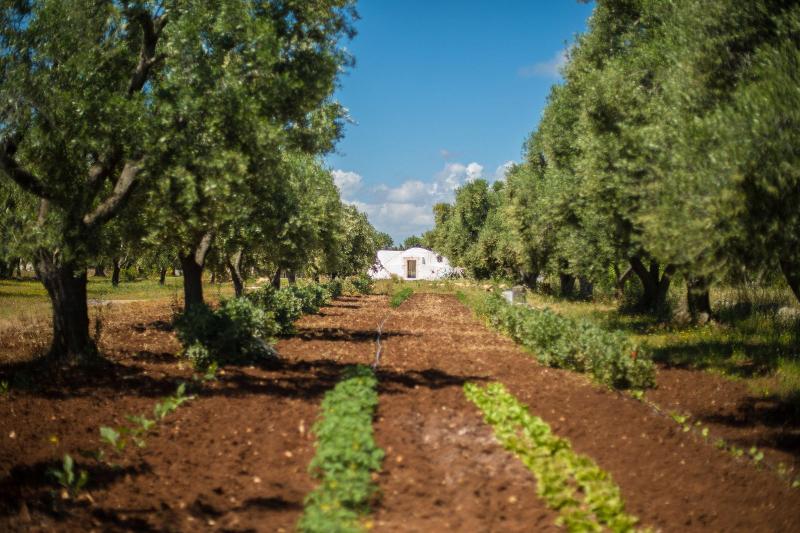 Casa Kairos image