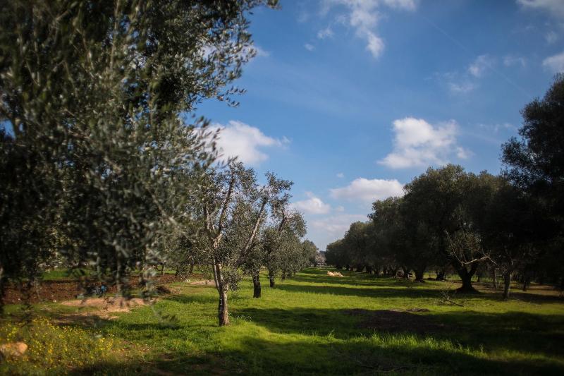 Casa Kairos image