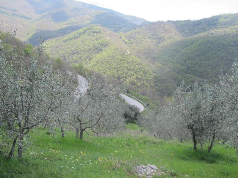 Rsh Luxury Casale Sabina Valley image