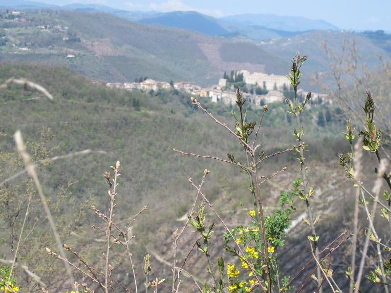 Rsh Luxury Casale Sabina Valley image