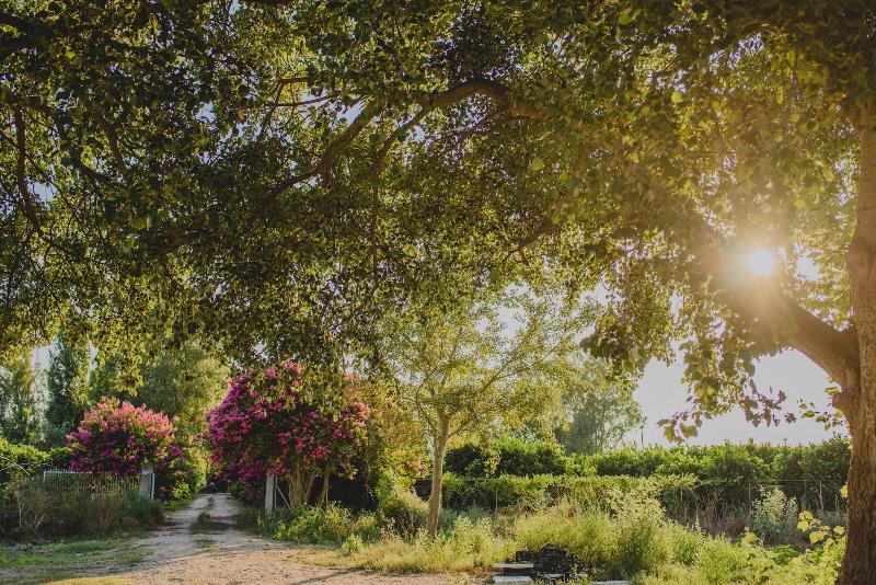 Orangia Ecohosting Farm — photo 3