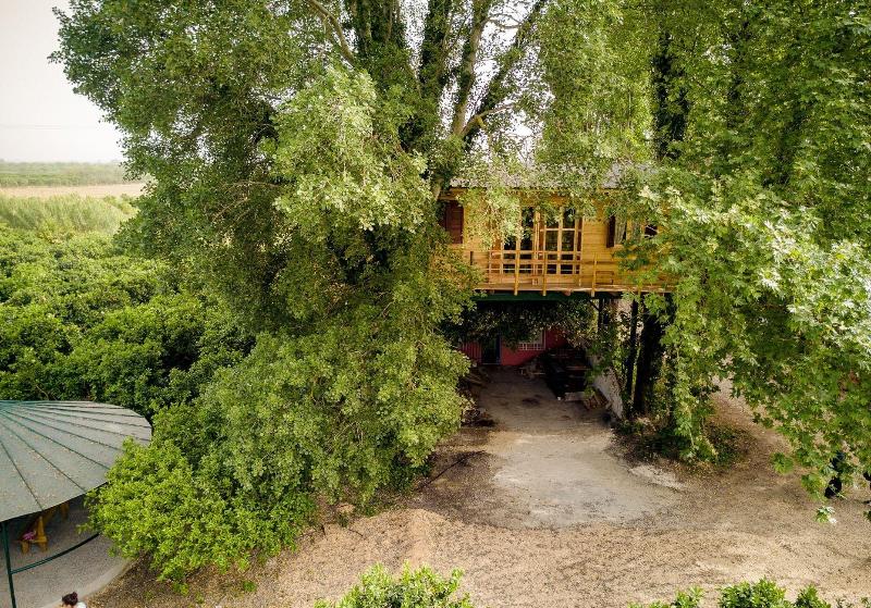 Orangia Ecohosting Farm — photo 5