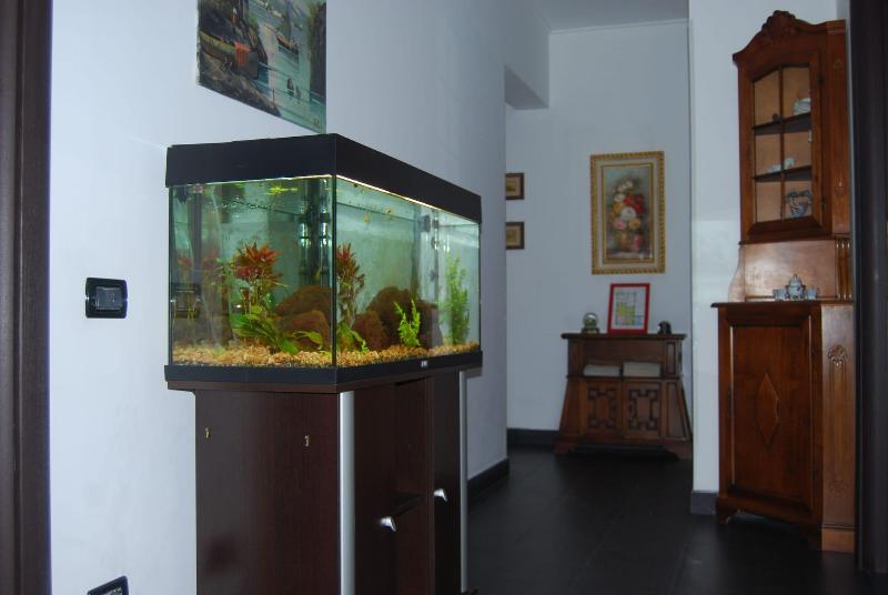 Casa Mama image