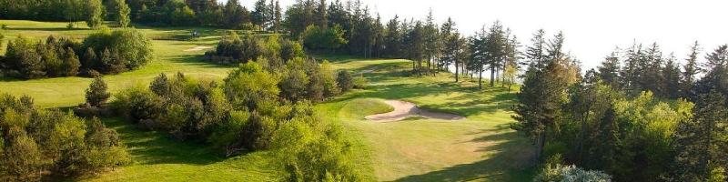 Hjarba K Fjord Golfcenter image