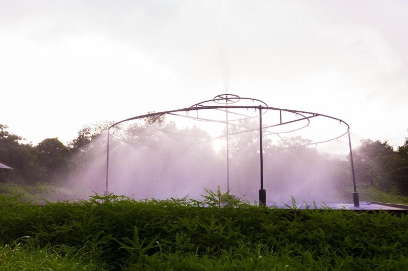 Shetty Farms 5