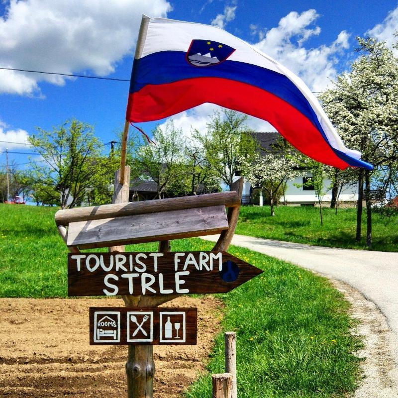 Tourist Farm Strle image