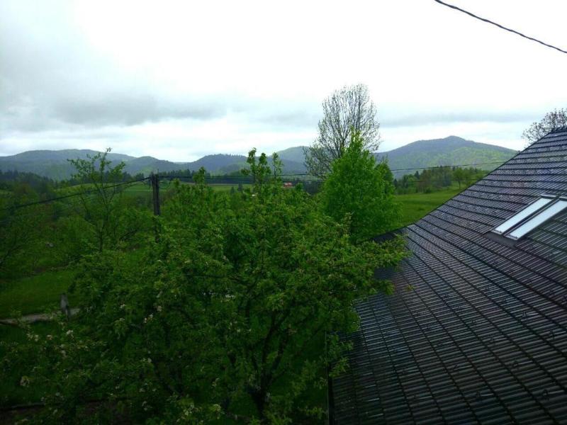 Tourist Farm Strle image
