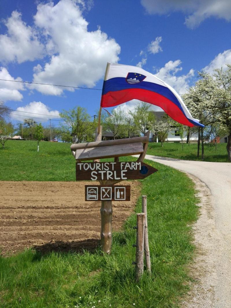 Tourist Farm Strle image