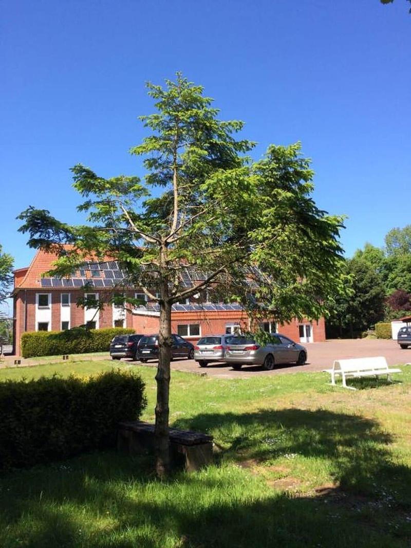 Boardinghaus Georgsheil image