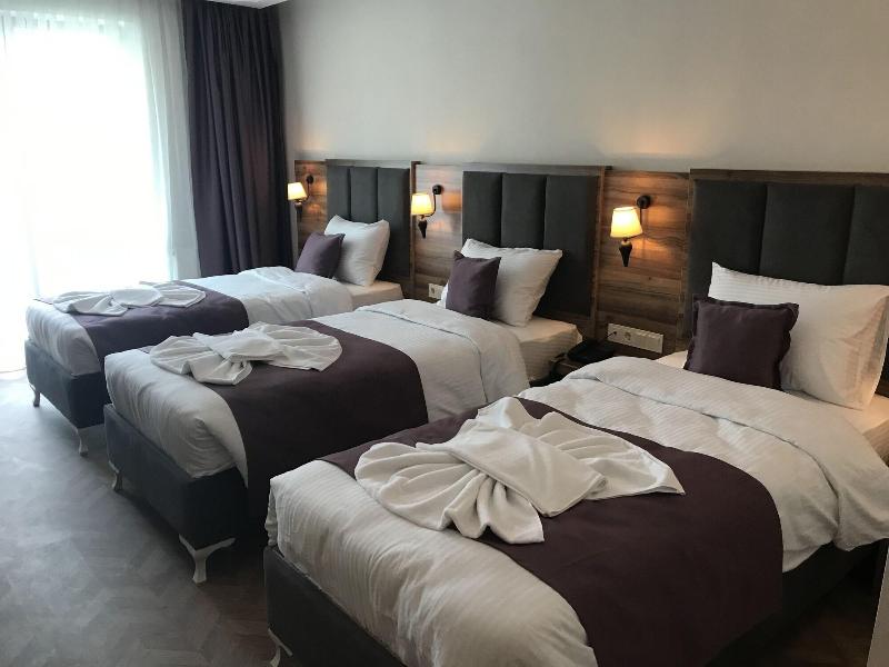 Royal Palas Hotel image