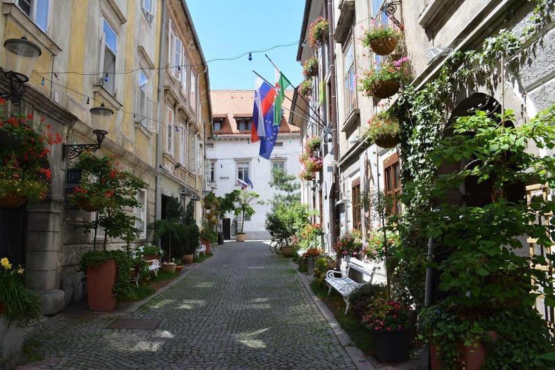 Codelli Deluxe Unique Fresko Apartments — general view