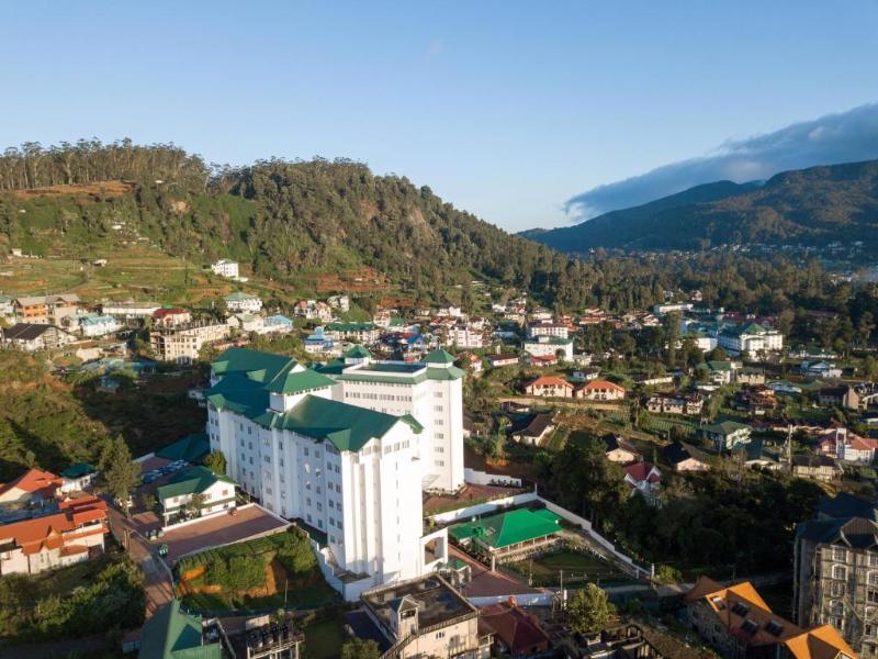 Araliya Red image