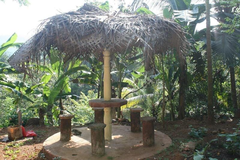 Grandmaa Cooking Trail