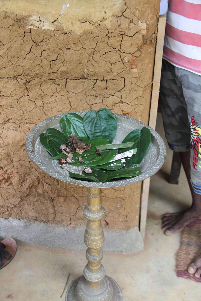 Grandmaa Cooking Trail